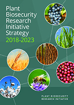 PBRI Strategy 2018-23